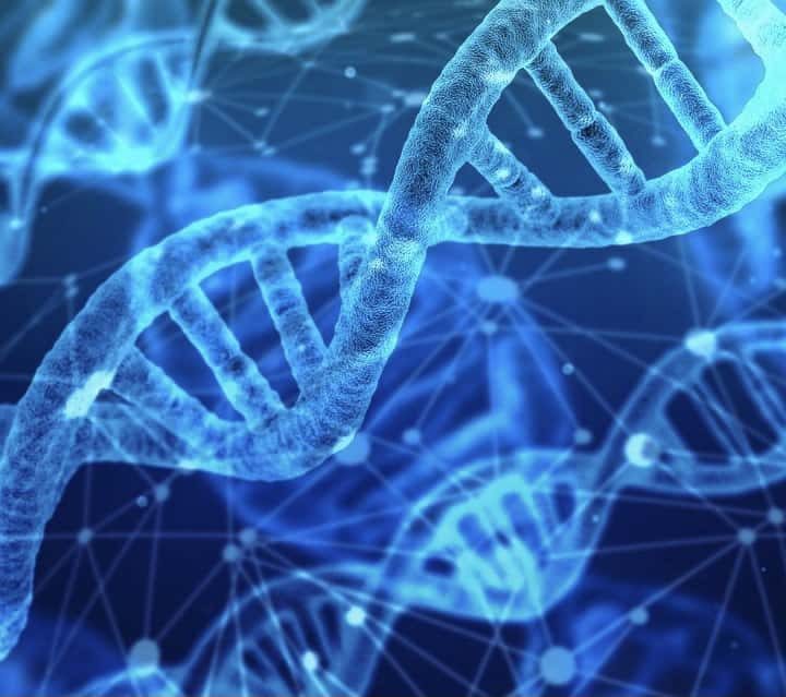 DNA als Datenspeicher